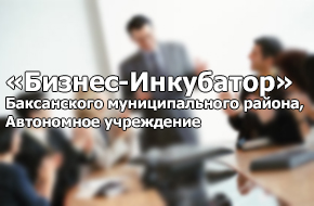 Автономное Учреждение Бизнес-Инкубатор
